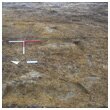 Oval gully - probably barrow - under excavation